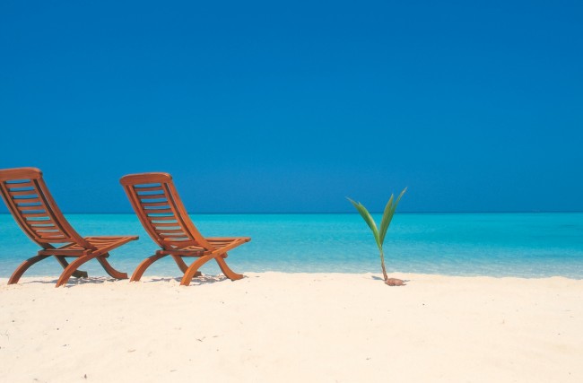 Viva bem sem renda fixa