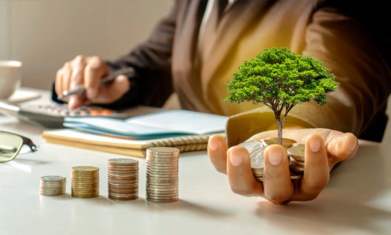 4 passos para criar o portfólio perfeito de investimento