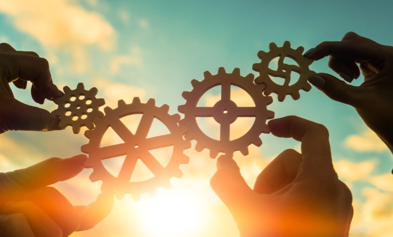 Saiba como investir em cooperativas e ajudar no crescimento do segmento