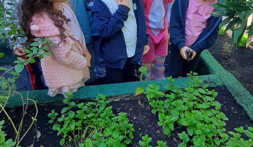 Colégio Magiarte: educação financeira como propósito antes mesmo da fundação