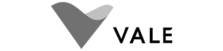 logo vale