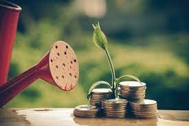 Educação financeira também faz bem para o meio ambiente